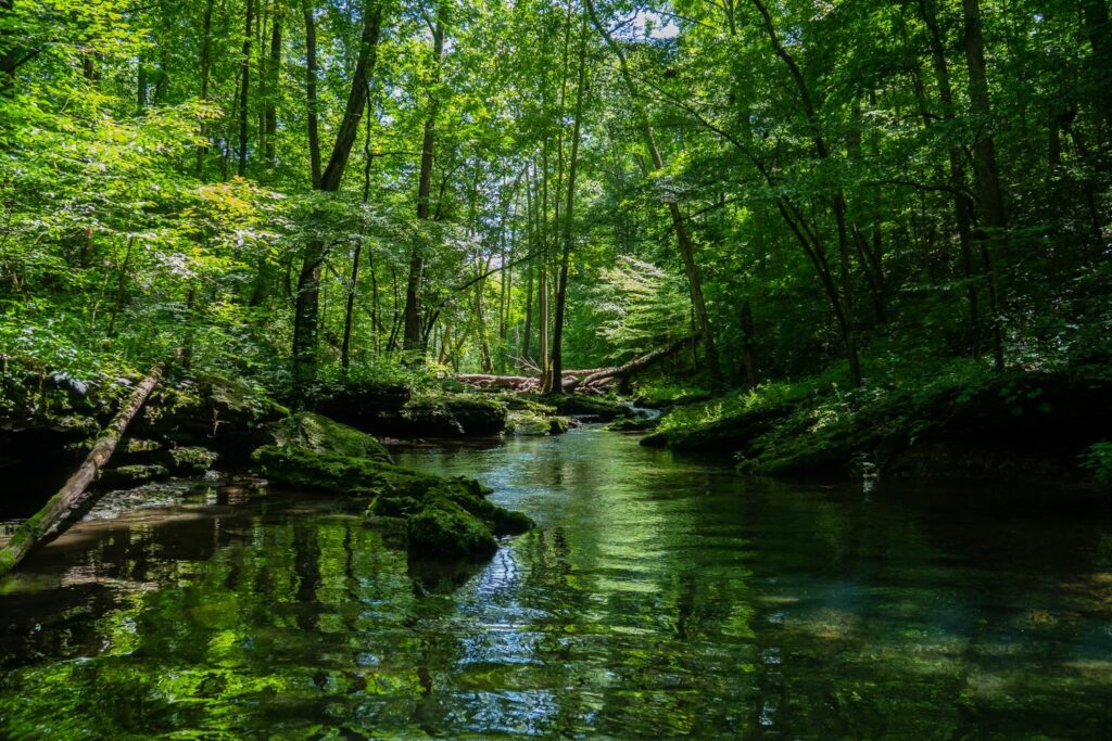 photo de la nature rappelant la force des éléments naturels pour le corps